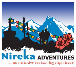 Nireka Adventures Logo