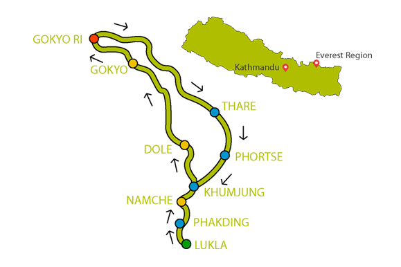gokya route