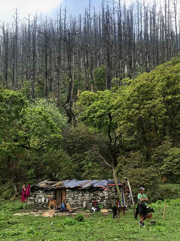 Great Himalaya Trail