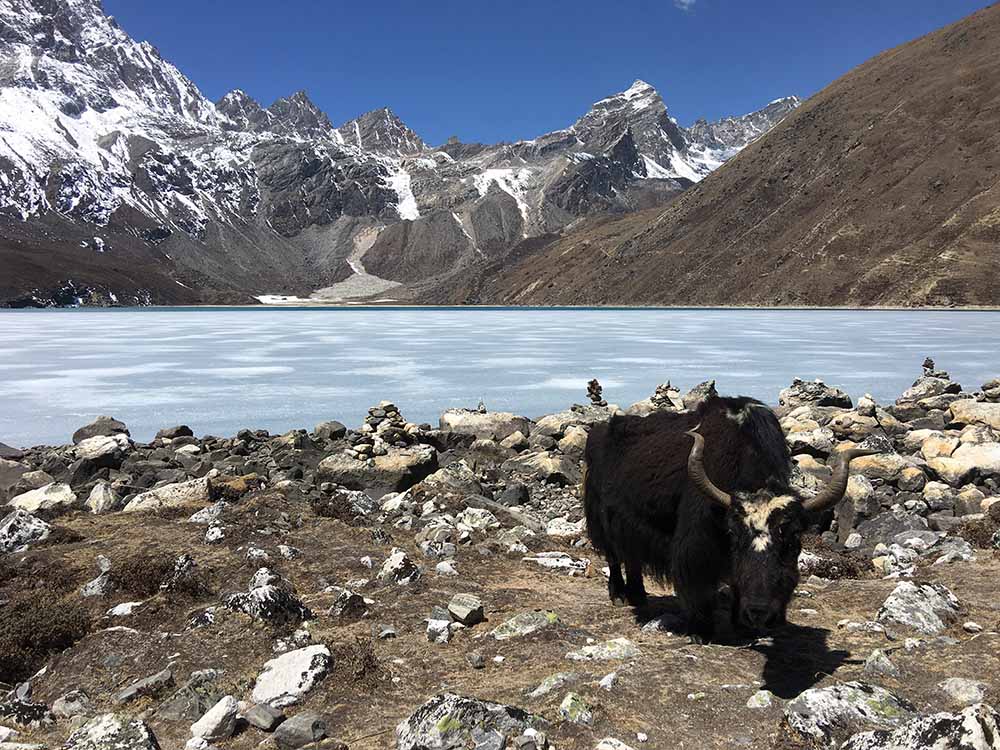 Great Himalaya Trail