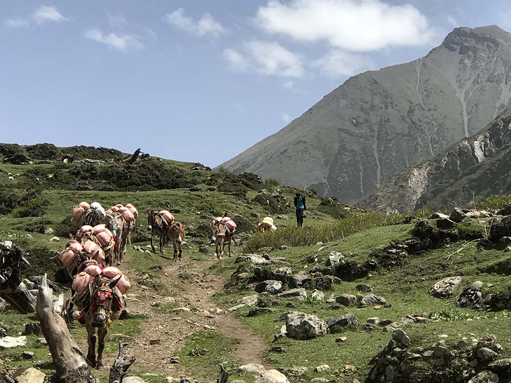 Great Himalaya Trail