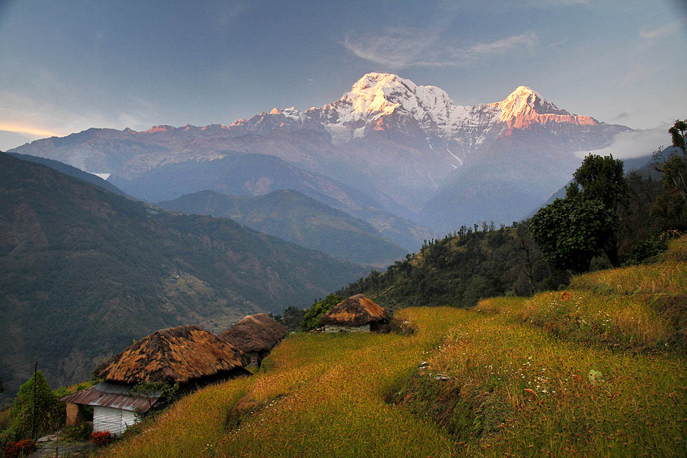 ANNAPURNA GOREPANI TREK