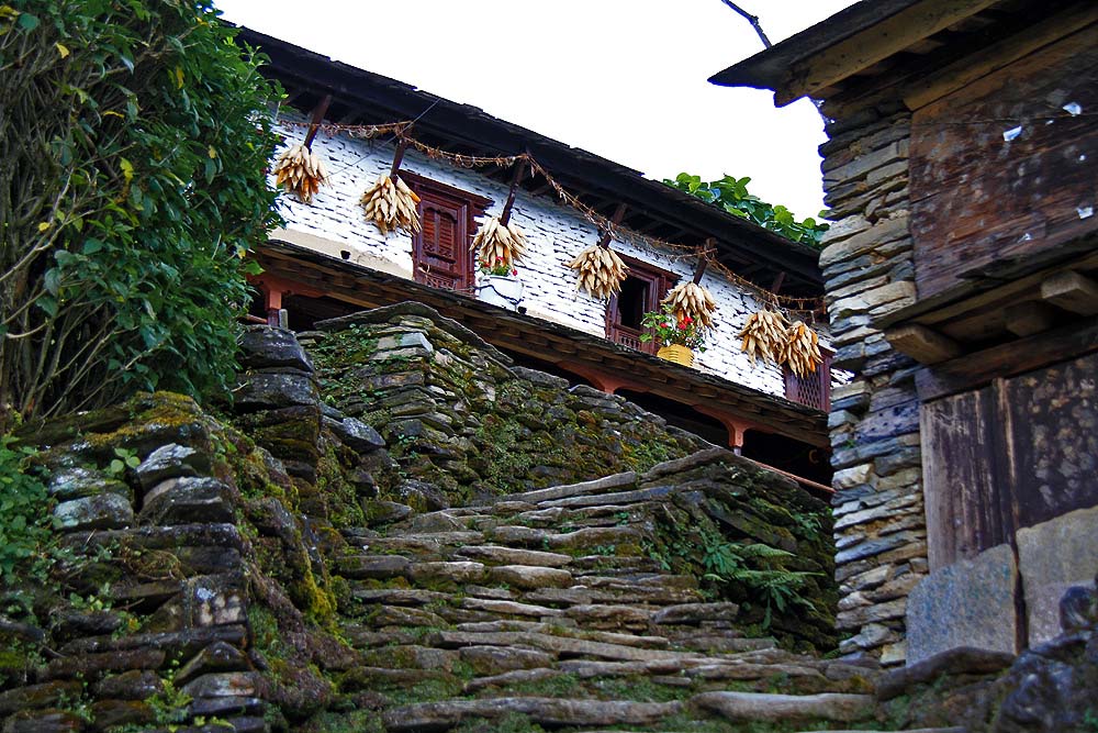 ANNAPURNA GOREPANI TREK