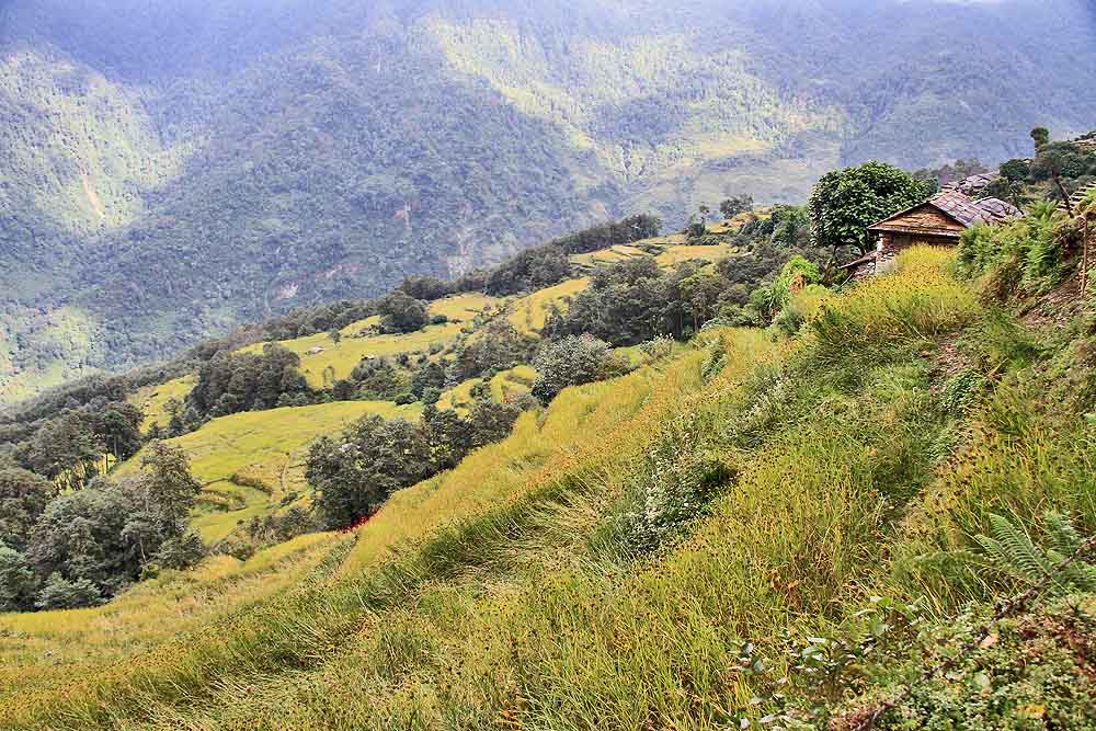 ANNAPURNA GOREPANI TREK