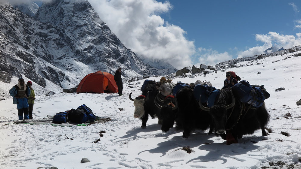 Nireka Peak Trek